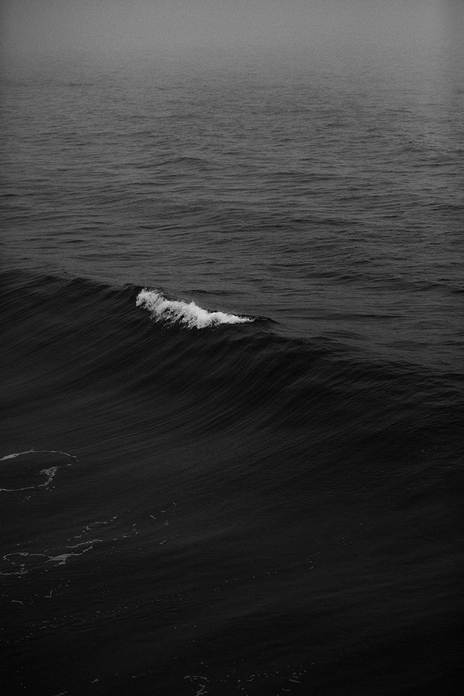 nathan dumlao ciO5L8pin8A unsplash 1